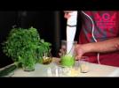 Watch video of  - Pesto sauce Delicooks final web - Label : DELICOOKS -