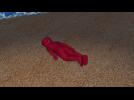Three-year-old Syrian boy found dead on Turkish beach