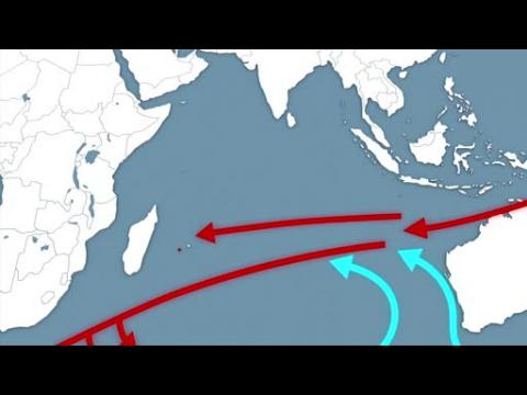 Debris found on Réunion Island is believed to belong to the missing MH370