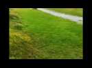 Residents body surf a flooded field in New South Wales