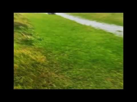 Man bodysurfs flooded field in New South Wales