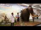 Animated mammoth crushes objects in new slow motion video