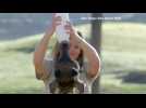 Baby giraffe recovers at San Diego Zoo Safari Park