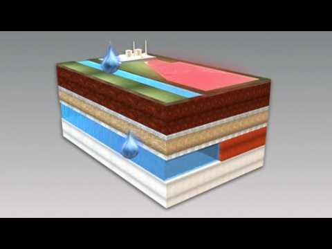 Miami’s nuclear power plant is leaking radioactive material