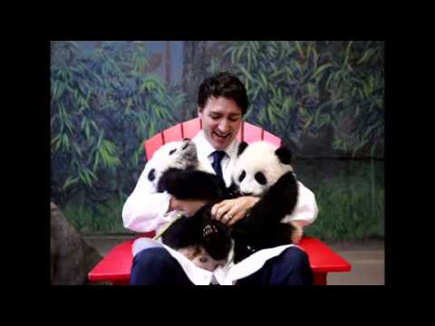 Canada's Trudeau unveils the names of giant panda cubs at Toronto Zoo