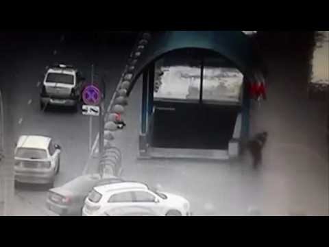 Woman charged with murder after brandishing child's severed head in Moscow