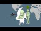 Argentinian doctors suggest larvicide, not Zika virus, possible cause of microcephaly in Brazil