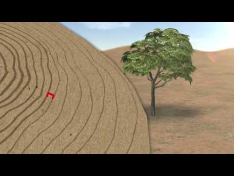 Worst drought in 900 years may be behind Middle East instability