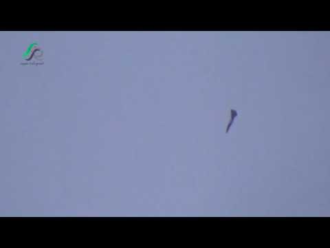 Syrian air raids target Homs province - monitoring group