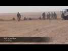 Syrian army advance towards Islamic State stronghold