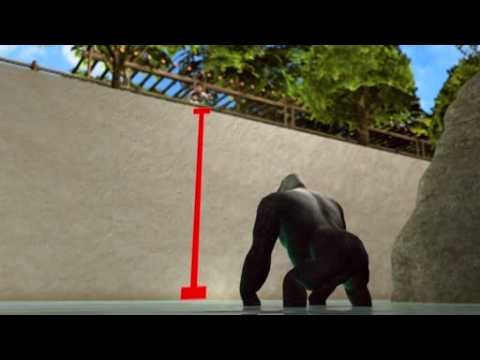 Cincinnati Zoo reopens gorilla enclosure with new barrier