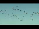 Poland holds largest-ever NATO manoeuvres amid Russia tensions