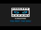 First elephant calf in six years born at Singapore Night Safari