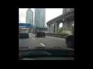 Sprinting ostrich video gets over 300,000 views