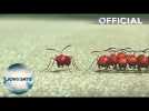 Minuscule - "Special Load" clip - In Vue Cinemas May 27 2016
