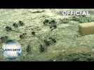 Minuscule - "Bum in the Road" clip - In Vue Cinemas May 27 2016
