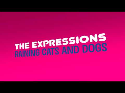 THE EXPRESSIONS : IT'S RAINING CATS & DOGS
