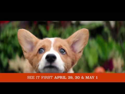 A DOG'S PURPOSE - OFFICIAL "EVERY LIFE" TV SPOT [HD]