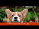 A DOG'S PURPOSE - OFFICIAL "EVERY LIFE" TV SPOT [HD]