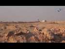 Islamic State expands control of Iraqi town near Jordan-Syria border - sources