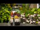 Rice and black bean jar salad