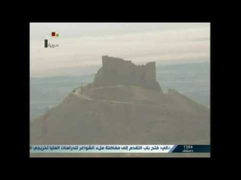 Syrian state TV says government forces enter Islamic State-held Palmyra