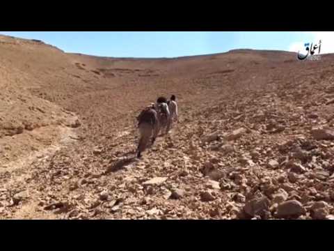 Islamic State militants use tanks, machine guns in Syrian town - amateur video