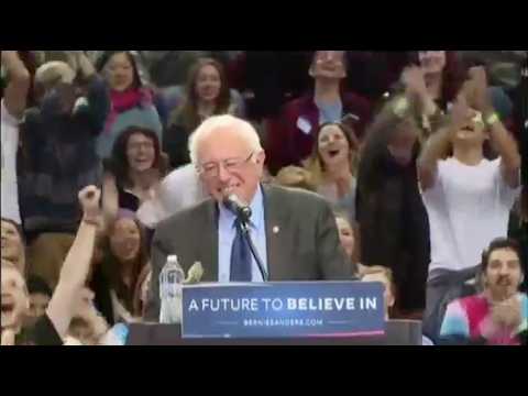 Quand un oiseau décide de soutenir Bernie Sanders