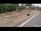 A video of a rescued dog gets over a million views