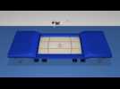 Olympics - Trampoline explained