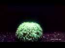 Video footage shows coral suffering in warm waters