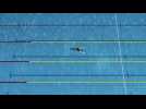Olympics - Swimming explained