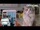 Nine Lives - Clip "Moment of Privacy" in Cinemas August 17