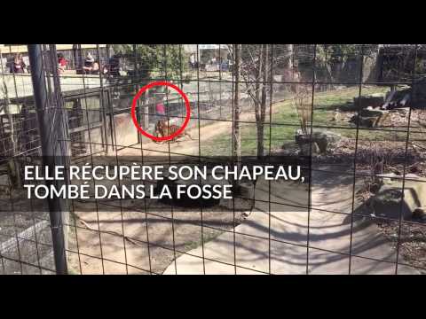 Inconsciente, elle descend dans la fosse du tigre