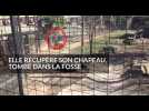 Watch video of Son Inconscience A Scandalisé Les Autres Visiteurs : Alors Qu'elle Se Promenait Au Zoo De Toronto, Une Femme A Fait Tomber Son Chapeau Dans La Fosse La Séparant De L'enclos D'un Tigre De Sumatra. Une équipée Qui Aurait Pu Très Mal Se Terminer, Comme Le Montre Cette Vidéo Amateur En Tête D'article. - Inconsciente, elle descend dans la fosse du tigre - Label : Huffington Post -