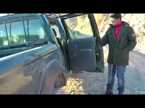 Baby Andean condor released back to the wild wild in Bolivia