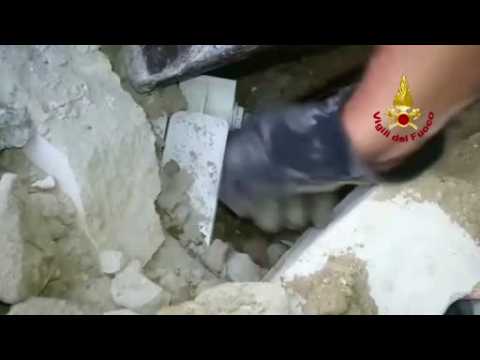 Italian fire brigade rescue cat 16 days after quake