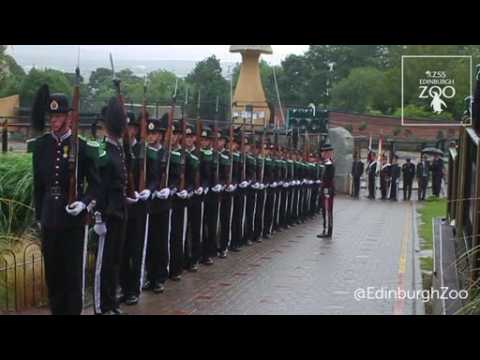 King penguin at Edinburgh Zoo made Brigadier by Norwegian Army