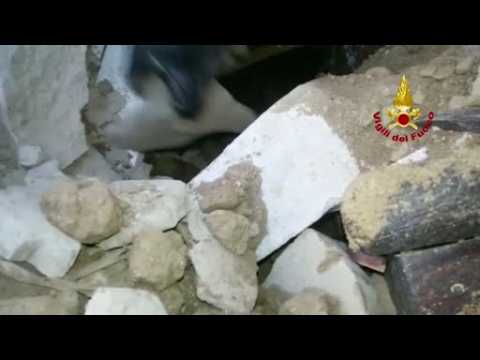 Italian fire brigade rescue cat 16 days after quake