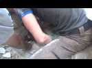 Girl rescued from Aleppo rubble