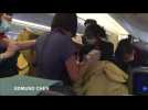 Mobile phone video captures woman giving birth on aeroplane