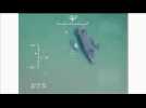 Saudi defence ministry release footage of air strikes on Yemeni boats