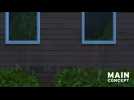 Four adults dead in apparent murder suicide in Maine, child found unharmed