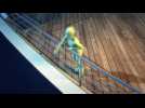 Woman goes overboard during cruise ship dance party