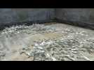 Workers find skeletons, coffins in burial vaults under Washington Square Park