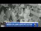 Serena Williams rattrape un voleur de téléphone