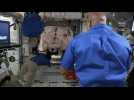 SpaceX: hatch opening of the ISS