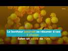 Watch video of Le Bonheur Pourrait Se Résumer à Ces  3 Choses Selon Un Cours De Yale - Le bonheur pourrait se résumer à ces  3 choses selon un cours de Yale - Label : Sudinfo -