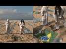 Brazil: activists protest on Copacabana beach against handling of coronavirus pandemic
