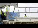 Plane transporting 150,000 doses of Russian Sputnik V vaccine arrives in India